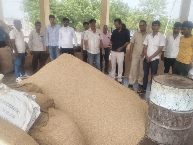 नागौर मंडी में जीरा 20,400 रुपए तक बिका:इसबगोल 12,500 और सौंफ 11,500 रुपए रहा, 28 अगस्त को बंद रहेगी मंडी