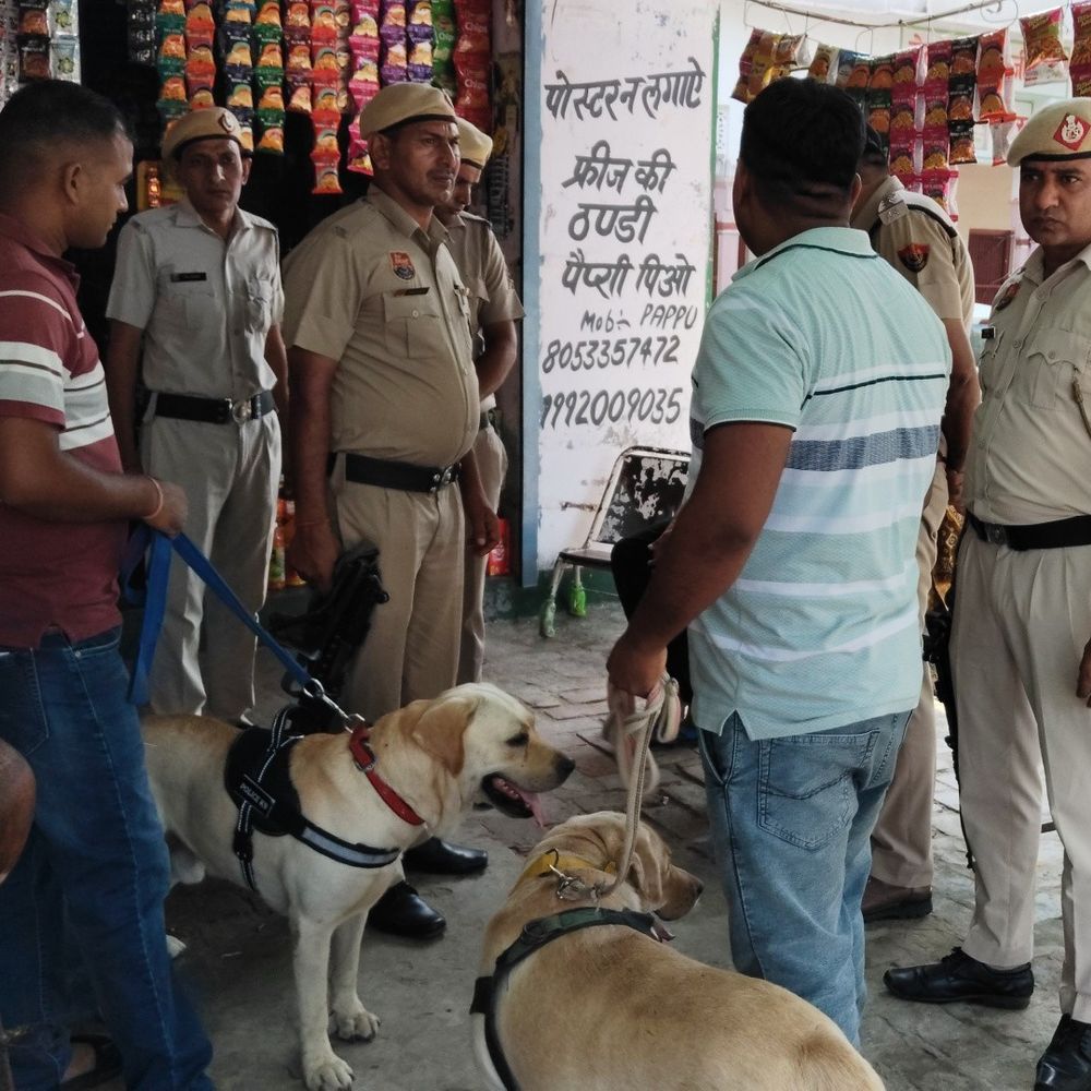 लोहारू में स्कूल के पास तंबाकू बेचने वाले का चालान:पुलिस ने चलाया सर्च ऑपरेशन, संदिग्ध लोगों की तलाश, दुकानदारों को हिदायत