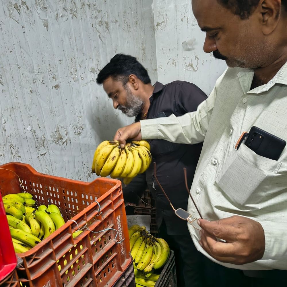 रेडिसन होटल समेत 13 प्रतिष्ठानों पर खाद्य विभाग की छापेमारी:इलाहाबाद विश्वविद्यालय की कैंटीन सहित 4 प्रतिष्ठान सील, 17 सैंपल लिए गए