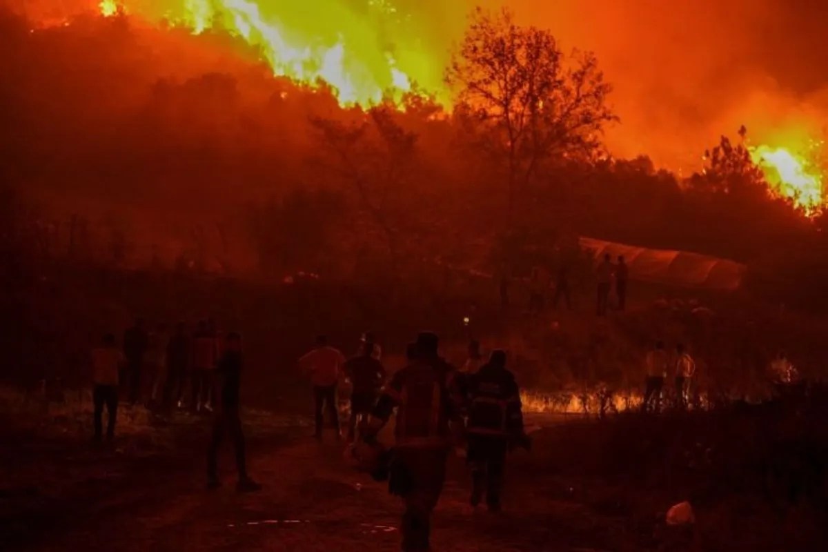 Forest Fire in Algeria: अल्जीरिया के जंगलों में लगी भीषण आग, 12 लोगों की गई जान, 54 झुलसे