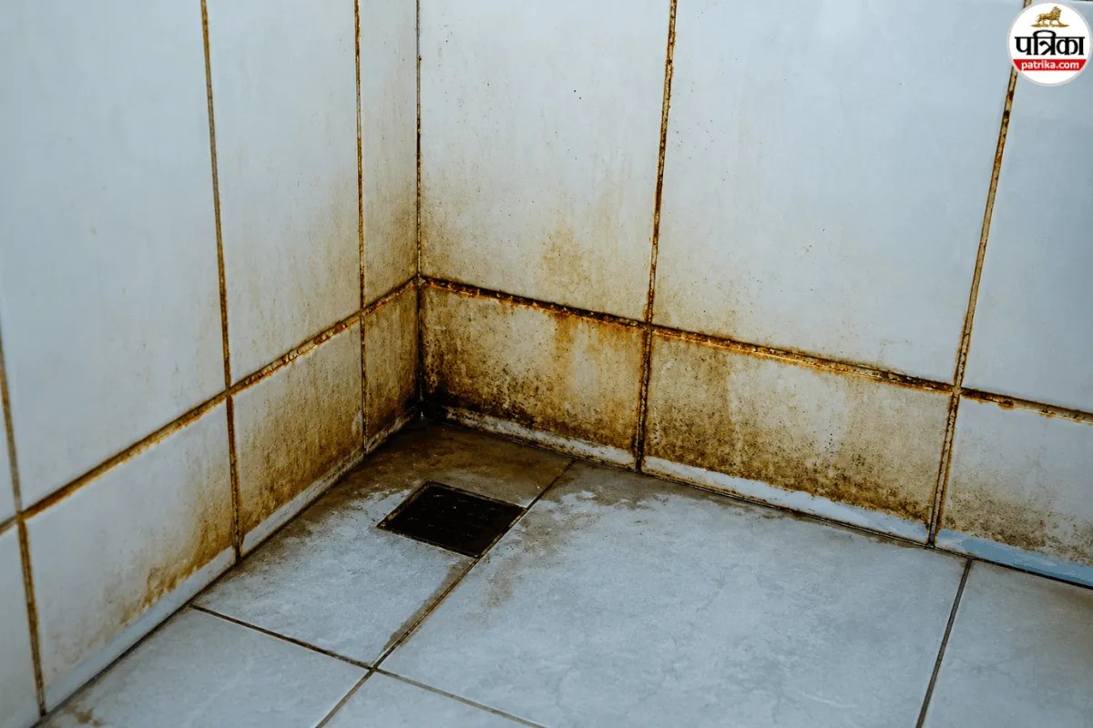 Bathroom Moss Remover Tips: बाथरूम की फर्श पर जम गई है काई? इन आसान तरीकों से करें सफाई