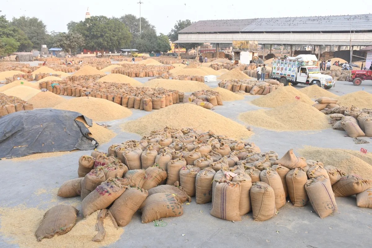 Kota Mandi Bhav : गेहूं, सोयाबीन, सरसों व लहसुन मंदा