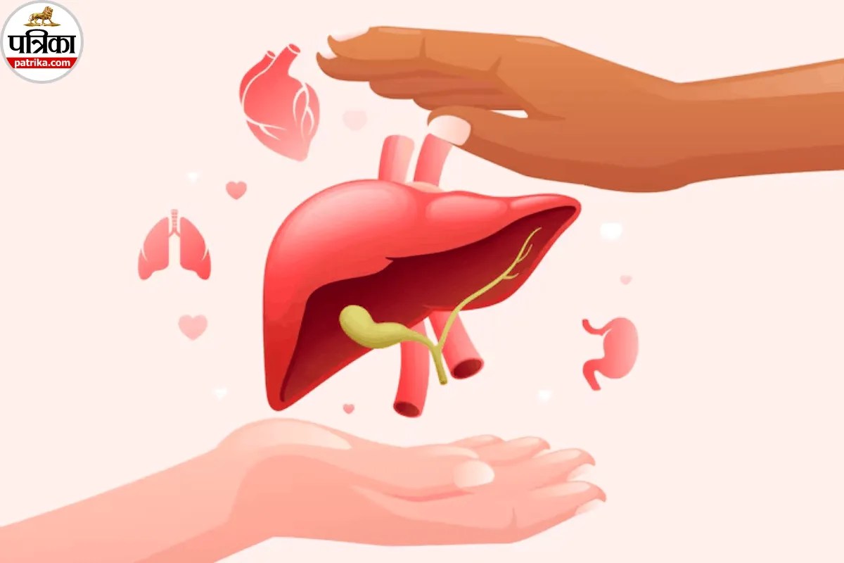 अंगदान है बड़ा आसान, जानिए NOTTO के जरिए कैसे कर सकते हैं Organ Donation