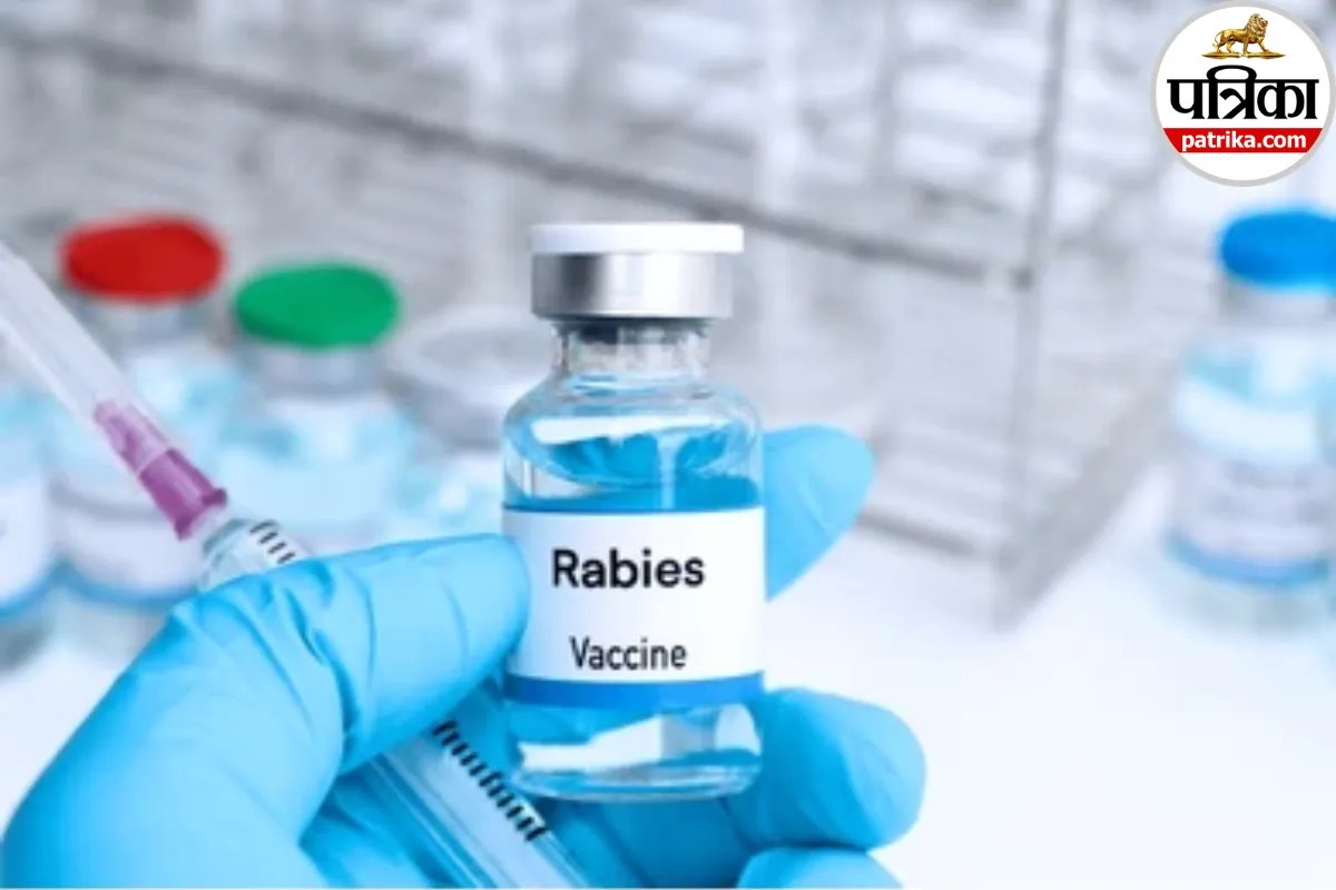 Rabies Infection: रेबीज से बागपत के युवक की मौत, क्लीवलैंड क्लिनिक और जॉन हॉपकिंस मेडिसिन से जानें जानवर के काटने के तुरंत बाद क्या करें?