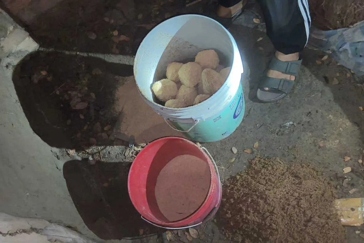 West Bengal News: तृणमूल कांग्रेस बूथ अध्यक्ष के घर पुलिस की बड़ी छापेमारी, 18 बम, बंदूक और 6 कारतूस बरामद