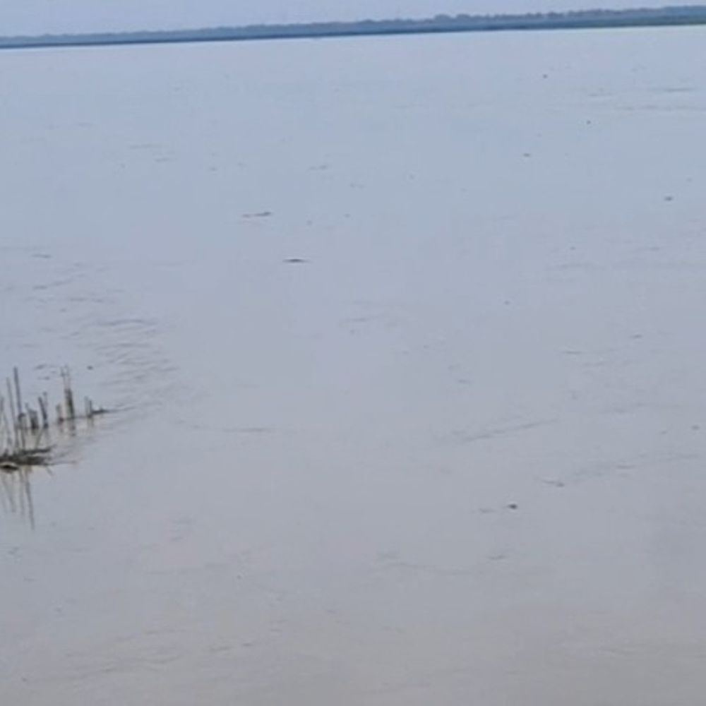 गोपालगंज में गंडक का बढ़ेगा जलस्तर:62 पंचायतों पर बाढ़ का खतरा; 3.30 लाख क्यूसेक पानी पहुंचने की आशंका