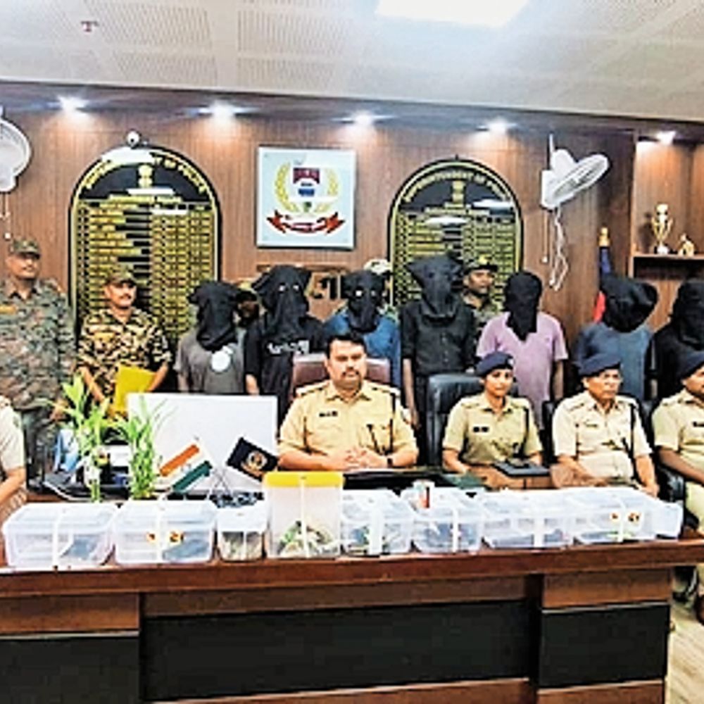 पालकोट में अपराध की योजना बना रहे अंतरराज्यीय गैंग के 11 अपराधी धराए