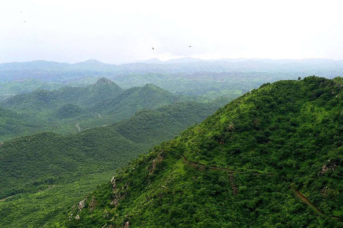 ढलानों पर धड़ल्ले से सैकड़ों निजी होटल, रिसॉर्ट और कमर्शियल प्रोजेक्ट्स