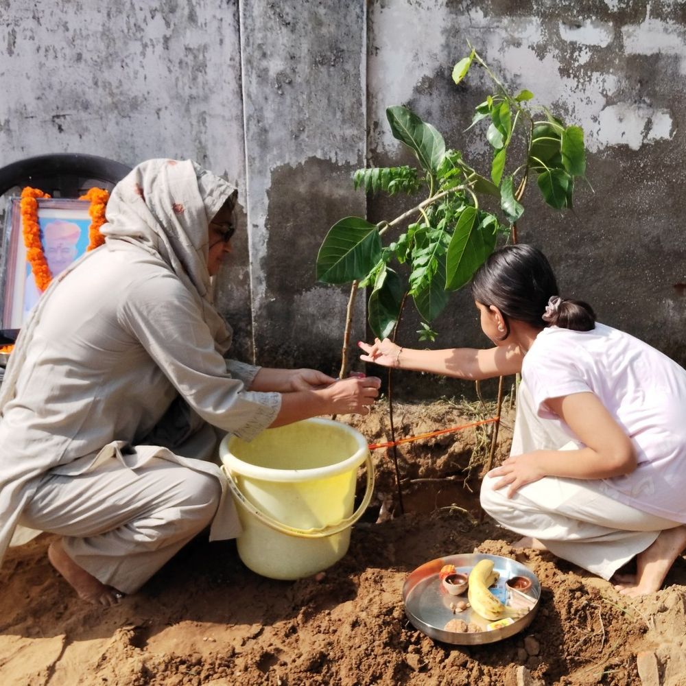 लोहारू में मास्टर प्यारेलाल की जयंती पर पौधारोपण:परिवार व शहरवासियों ने दी श्रद्धांजलि, 108 बार रक्तदान किया, ब्लड डोनेट की मुहिम चलाई