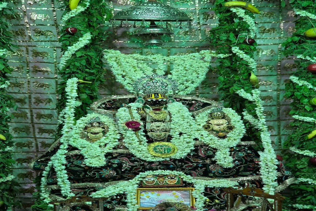 हरियाली अमावस्या पर बंशीवाला हरियाली रंग में रंगे, नर्मदेश्वर महादेव का सहस्त्रधार अभिषेक