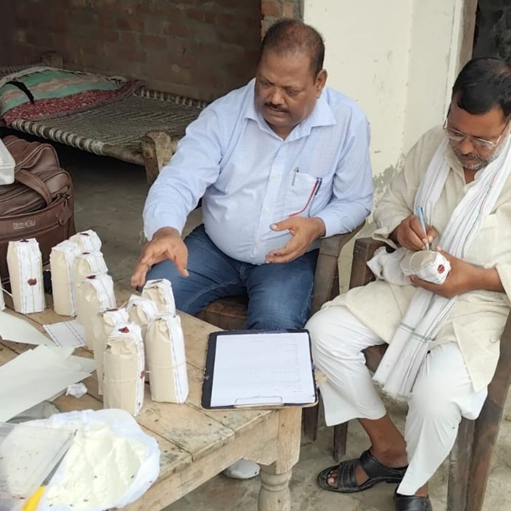 अवैध डेयरी पर छापा, 528 कुंतल मिलावटी पनीर नष्ट:संभल में मिलावटी पनीर-दूध, छह वाहन सीज