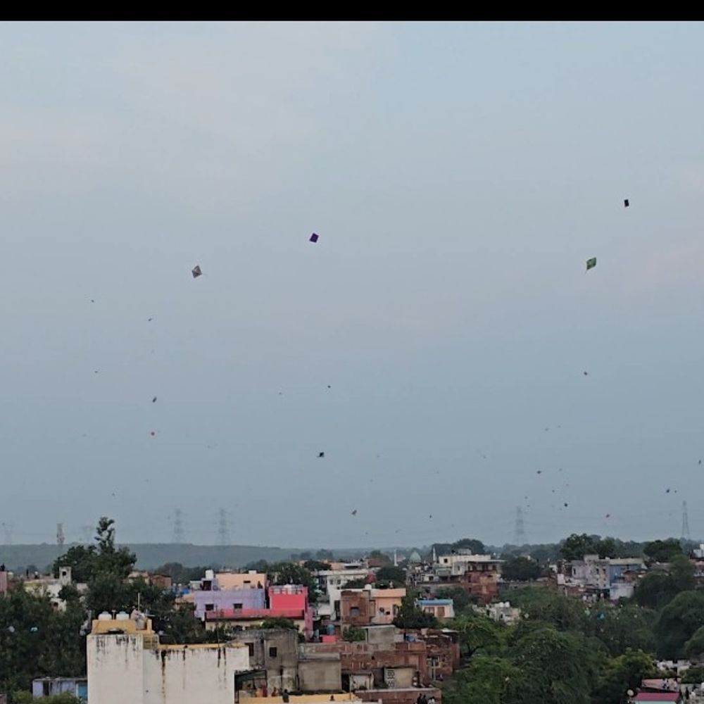 रक्षाबंधन पर करौली के आसमान में सजी पतंगों की महफिल:’वो काटा’ से गूंजा शहर, घातक मांझे पर प्रशासन ने लगाई रोक