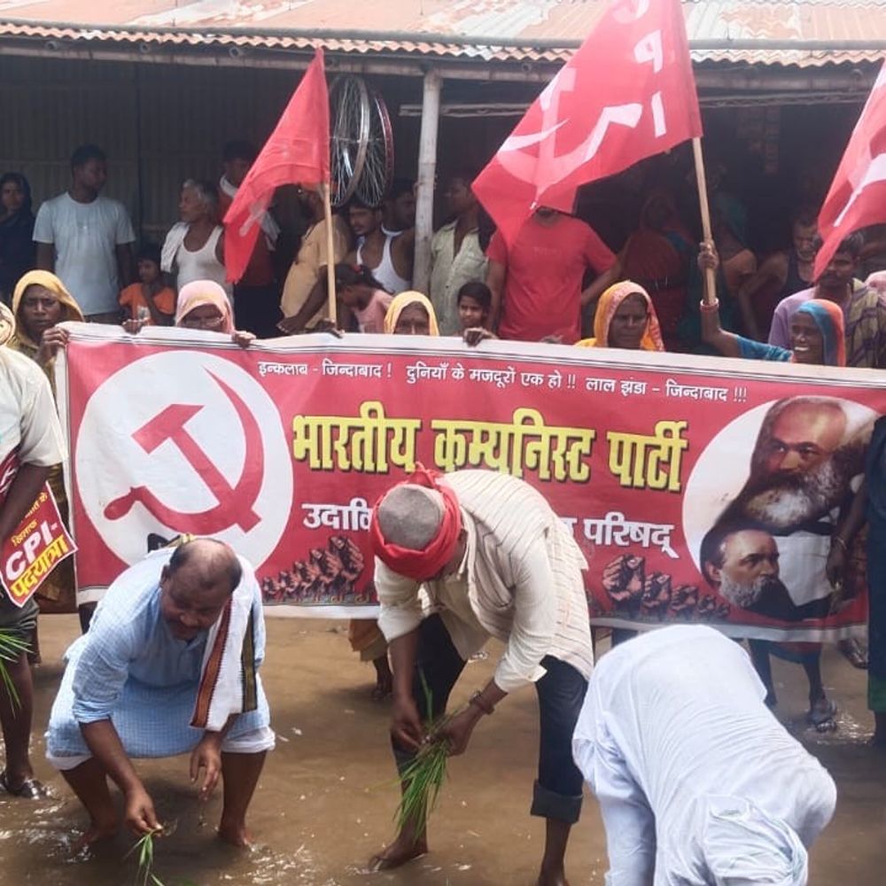 मधेपुरा में भाकपा कार्यकर्ताओं ने सड़क पर रोपी धान:जलजमाव से विरोध, शासन-प्रशासन के खिलाफ नारे; जल निकासी की मांग