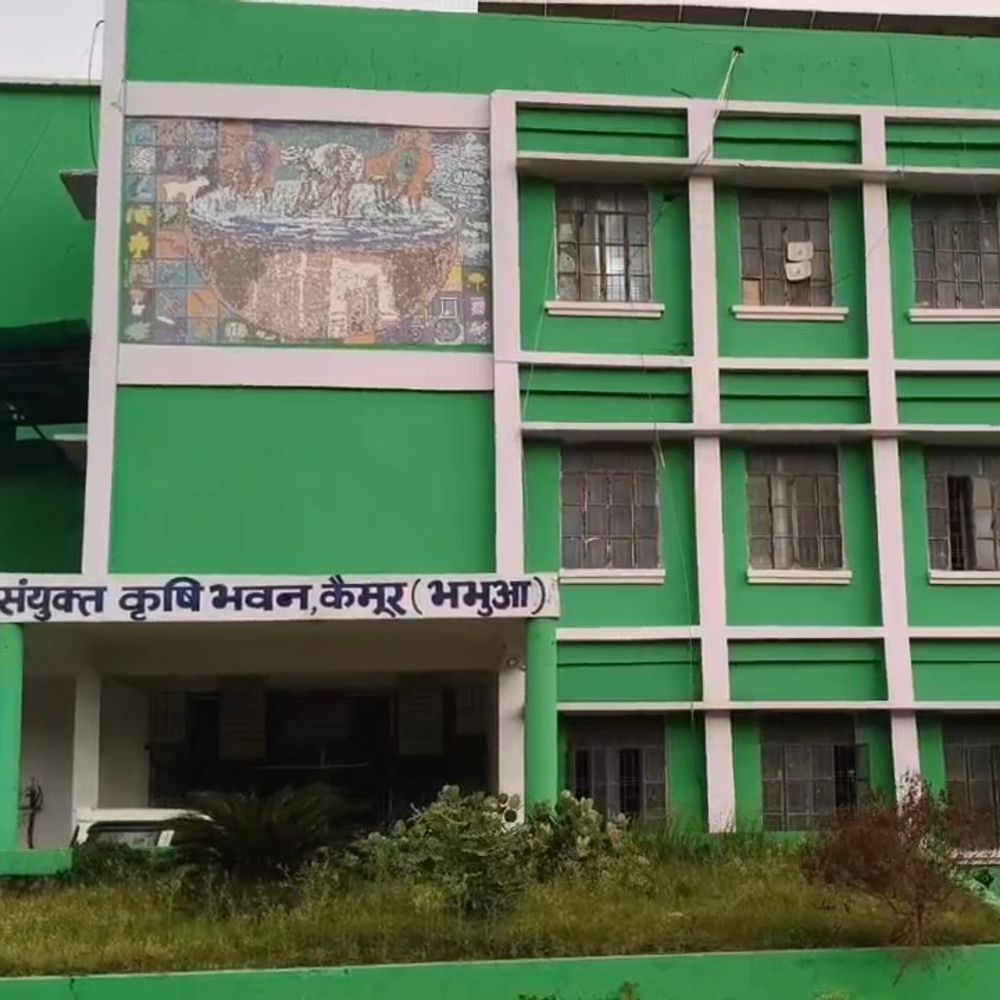 कैमूर में प्याज भंडारण योजना के लिए ऑनलाइन आवेदन शुरू:गोदाम निर्माण पर सरकारी ग्रांट, लॉटरी से होगा किसानों का चयन