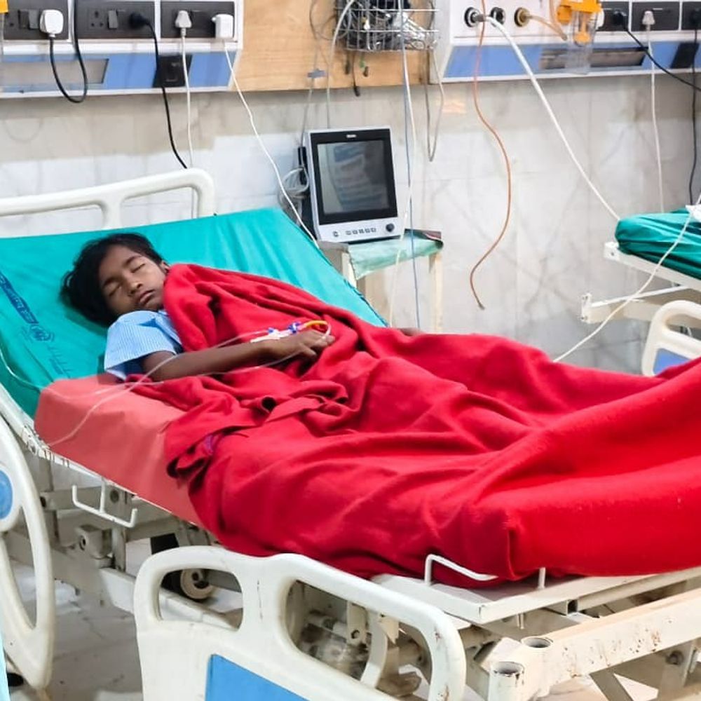 जहरीले सांप के काटने से 3 छात्राओं की मौत:छत्तीसगढ़-महाराष्ट्र बॉर्डर के पास गढ़चिरौली आश्रमशाला में घुसा जहरीला करैत, 16 छात्र ऑब्जर्वेशन में