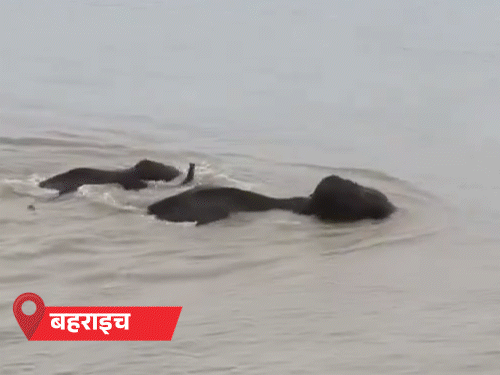 यूपी के 31 जिलों में भारी बारिश की चेतावनी:नेपाल में बाढ़ से तबाही से प्रदेश में अलर्ट, महराजगंज और कुशीनगर में गांव खाली कराए जा रहे