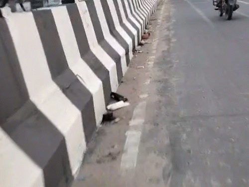 78 करोड़ के फ्लाईओवर पर नगर निगम का ‘फोटोशूट’:कागजों में हुई सफाई, हकीकत में बालू-गिट्टी का अंबार और कीचड़