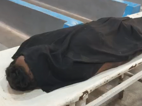 ब्रेक फेल ट्रक की मरम्मत के दौरान हादसा:सड़क किनारे तेज रफ्तार ट्रक ने पीछे से टक्कर मारी, चालक घायल, ट्रक मालिक की मौत