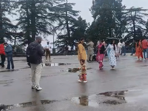 हिमाचल में दो दिन भारी बारिश की चेतावनी:मानसून सीजन में 183 की मौत; 972 करोड़ की संपत्ति नष्ट, 82 मकान टूटे