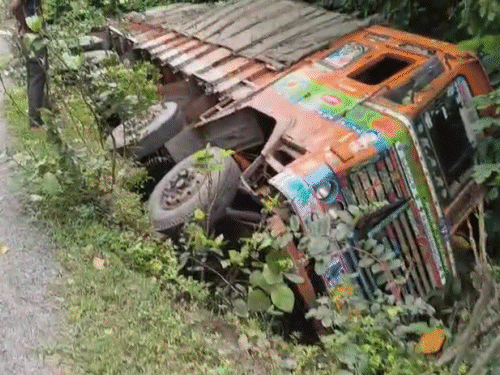 कोडरमा घाटी में मछली लदा ट्रक खाई में पलटा:आंध्रप्रदेश से खगड़िया जा रहा था ट्रक, ड्राइवर और खलासी दोनों सुरक्षित