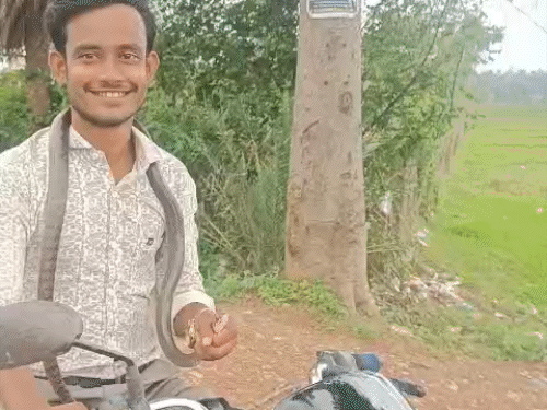 सांप ने काटा तो गले में लपेटकर अस्पताल पहुंचा स्नेक-कैचर,VIDEO:कांकेर में रेस्क्यू करते समय स्नेक ने डसा, युवक पूरी तरह स्वस्थ