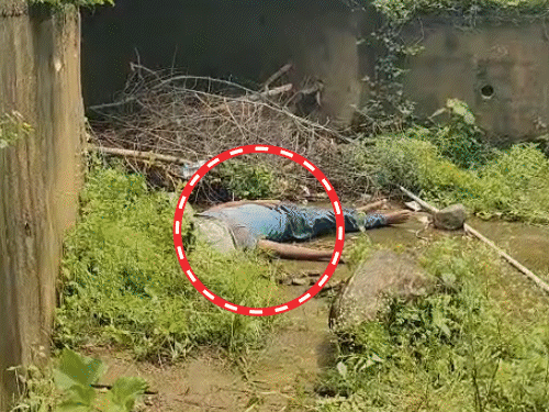 चतरा में पुल के नीचे मिला शव; पुलिस जांच जारी:कहीं और हत्या कर शव को पुल के नीचे फेंका, दो माह में दूसरी संदिग्ध मौत से दहशत