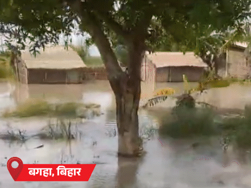MP के डिंडौरी और पन्ना में सभी स्कूल बंद:यूपी के 13 जिलों में बाढ़ जैसे हालात, हिमाचल में अब तक 205 की मौत