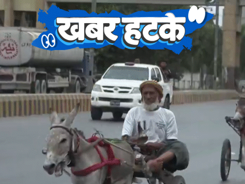 खबर हटके- पाकिस्तान में गधों की रेस:AI बॉयफ्रेंड से महिला ने पैदा किया AI बच्चा; नंगे पैर पूरी की 6 मैराथन