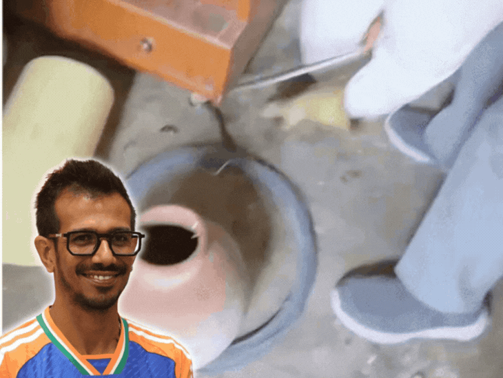 युजवेंद्र चहल के फार्म हाउस में निकला सांप:बचपन में यहीं क्रिकेट खेला; जींद में पिता ने बनवाकर दी थी पिच