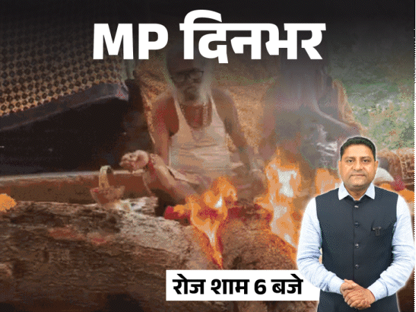 MP दिनभर, 10 बड़ी खबरें:बिजलीकर्मी को पीटा, कुत्तों से कटवाया; IAS नेहा के खिलाफ पेन डाउन; पीपल के पेड़ पर 23 घंटे तपस्या