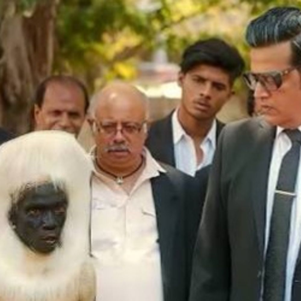 बैडमिंटन वर्ल्ड कप में बंदर भगाएंगे लंगूर बने वॉलेंटियर:विदेशी मीडिया में भी मंकी मैनेजमेंट की चर्चा, सिंधु बोलीं- कोशिश की तारीफ हो