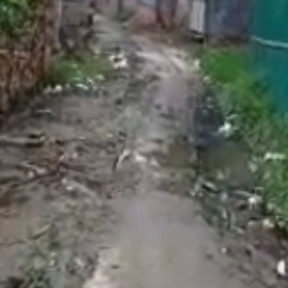 पटोरी पंचायत के वार्ड संख्या-2 में सड़क जर्जर:रोड पर गहरे गड्ढे और जलजमाव, बीमारियों का खतरा बढ़ा