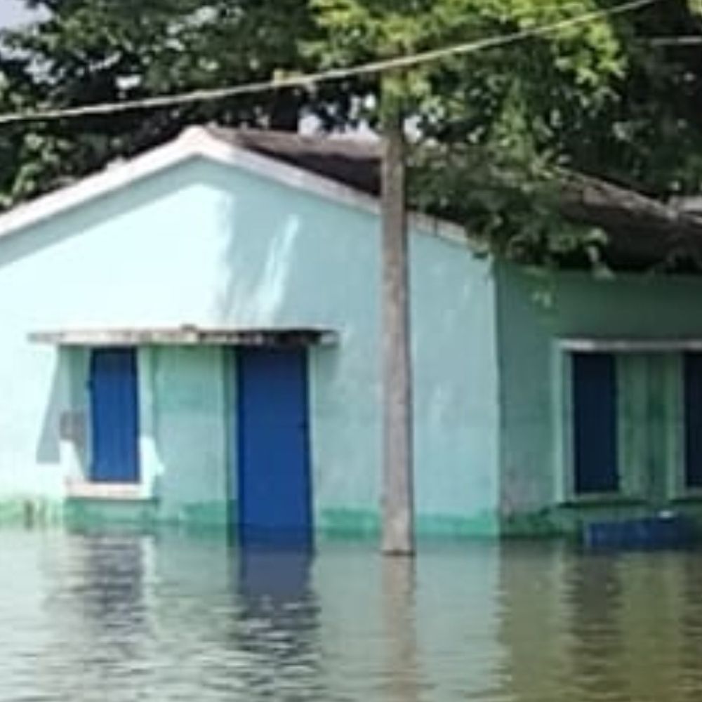 सांसद तारिक अनवर बाढ़ग्रस्त बरारी पहुंचे:नाव से प्रभावित क्षेत्रों का दौरा,ग्रामीण बोले-’15 दिनों से पानी से घिरे, मवेशियों के लिए चारा नहींं’