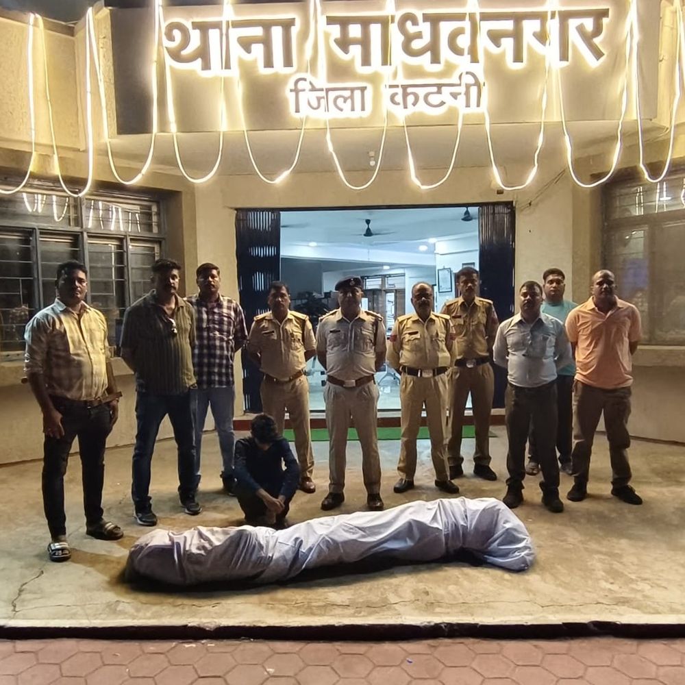 कटनी में बाड़ी से 30.790 किलो गांजे के पौधे जब्त:पुलिस ने एक युवक को पकड़ा; नशे के कारोबार पर कार्रवाई