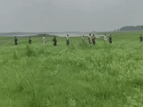 पेंच टाइगर रिजर्व में मछली माफिया का आतंक:PMO तक पहुंची शिकायत के बाद NTCA ने एमपी से मांगी एक्शन टेकन रिपोर्ट