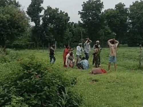 खेत में भैंस चराने को लेकर दो पक्षों में मारपीट,VIDEO:लाठी-डंडे और कुल्हाड़ी से हमला, 5 लोग घायल; 8 पर FIR दर्ज