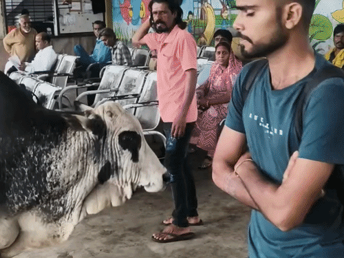 देवास में भाजपा पार्षदों ने बस स्टैंड का निरीक्षण किया:अतिक्रमण-गंदगी, वेटिंग रूम में मवेशी देख नाराज हुए; बोले- आयुक्त से कंप्लेंट करेंगे