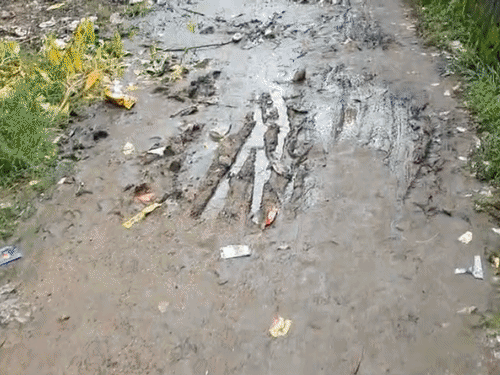 टीचर बोलीं-सरकारी स्कूल में कीचड़ भरा, बच्चे खेल नहीं पाते:नल-जल योजना का पाइप खराब, शिवराज के बेटे से गुहार लगाई; स्कूल ठीक कराएं