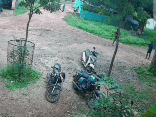 जशपुर में पहाड़ी कोरवा युवक की पीट-पीटकर हत्या, VIDEO:लकड़ी बेचने आया ​था, विवाद के बाद पिता-पुत्र ने पत्थर से सिर कुचलकर मार डाला