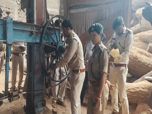 टिंबर मार्केट की तीन आरा मशीनें सील:लंबे समय से मिल रही थी स्टॉक में गड़बड़ी की शिकायत, इंदौर वन विभाग की कार्रवाई