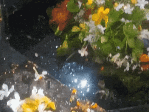 मुजफ्फरपुर का अनोखा शिवधाम,कुदाल लगते ही निकली थी दूध धारा:न्याय पीठ और मनोकामना मंदिर के रूप में पहचान, आज भी रहस्य बनी है स्वयंभू शिवलिंग की गहराई