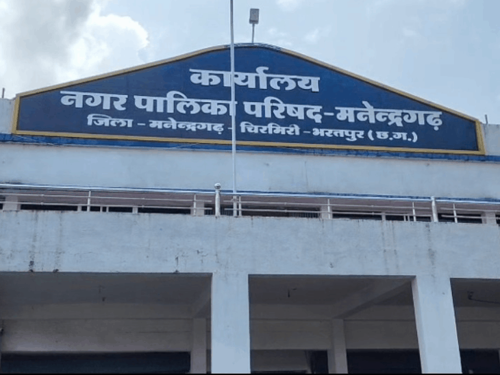 12 किमी तक सैकड़ों गौवंश हांककर जिला मुख्यालय पहुंचे ग्रामीण:मनेन्द्रगढ़ में किसान बोले- बर्बाद हो रही फसल, संरक्षण की स्थायी व्यवस्था की मांग