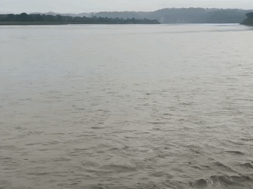 मुजफ्फरपुर की बागमती नदी उफान पर,नेपाल में बारिश का असर:गंडक का जलस्तर घटा; अलर्ट मोड में प्रशासन, बाढ़ नियंत्रण कक्ष एक्टिव