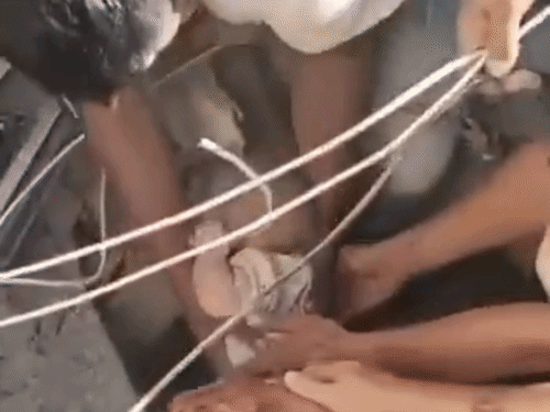 कोलंबिया भूकंप के 2 दिन बाद मलबे में मिला नवजात:5 मंजिला इमारत गिरी थी, रेस्क्यू टीम को आवाज देकर बोला शख्स- यहां बच्चे के साथ हूं