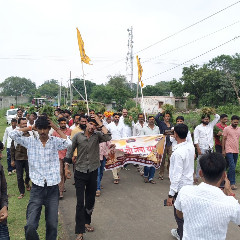 तीन किमी की यात्रा, सिर पर घास-जुबां पर जयकारे:गौशाला पहुंचकर गायों को हरा चारा खिलाकर की पूजा; अब पंचायतों में भी होगी गौ सेवा यात्रा
