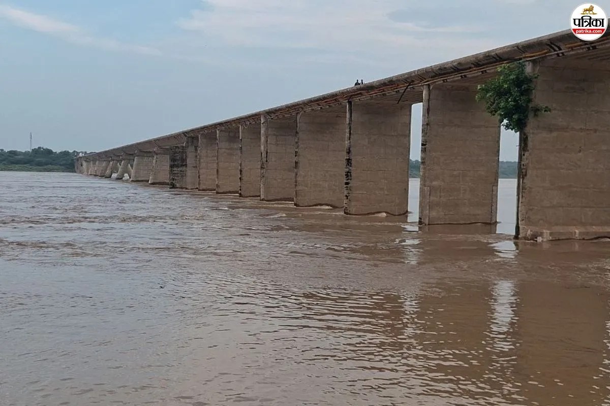 धौलपुर: चंबल नदी का जलस्तर तेजी से बढ़ा, खतरे के निशान से 0.64 मीटर दूर; प्रशासन अलर्ट