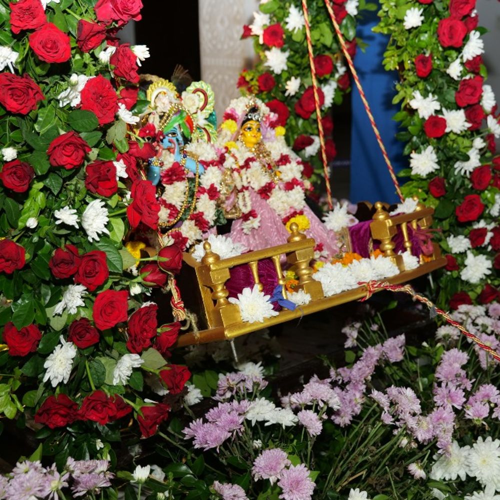कानपुर इस्कॉन मंदिर में झूलन यात्रा शुरू:राधा-माधव फूलों के निकुंजों में विराजे, 28 अगस्त तक भक्त झुला सकेंगे झूला