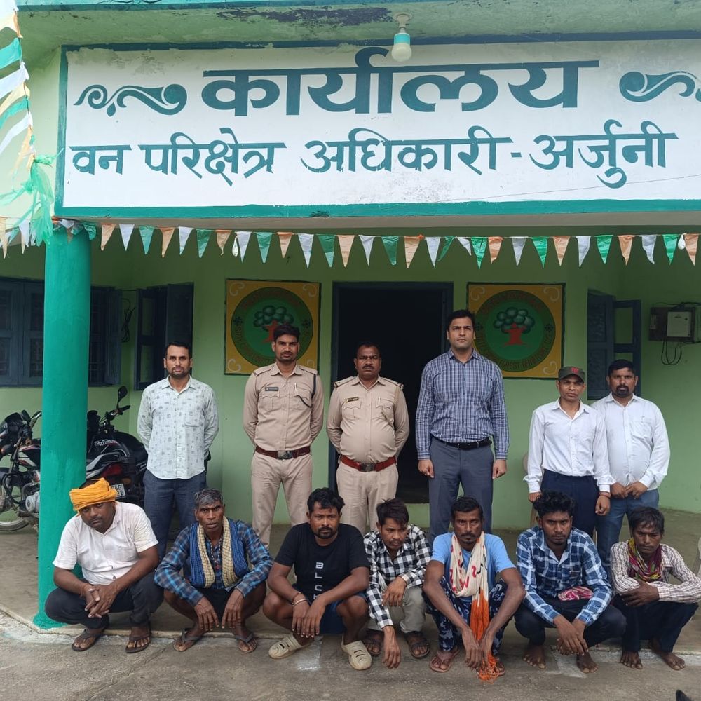 बलौदाबाजार में जंगली सुअर का शिकार कर मांस बेचा:वन विभाग की कार्रवाई, 7 गिरफ्तार, खरीदने वाले 5 लोग भी पकड़े गए