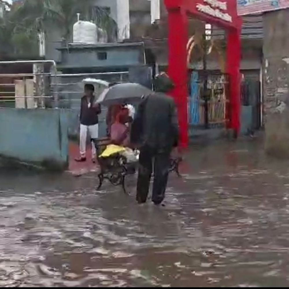 उमरिया में नदी-नाले उफान पर, बरबतराई मार्ग का पुल बहा:बांधवगढ़ में 8.08 इंच पानी गिरा, सड़कों पर भी भरा पानी