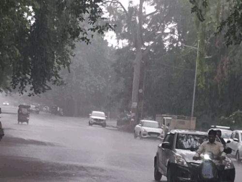प्रयागराज में सुबह से भोर में हुई झमाझम बारिश:एक घंटे हुई तेज बारिश, सड़कों पर भरा पानी, शाम तक फिर भारी बारिश के आसार